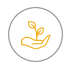 Growth Icon